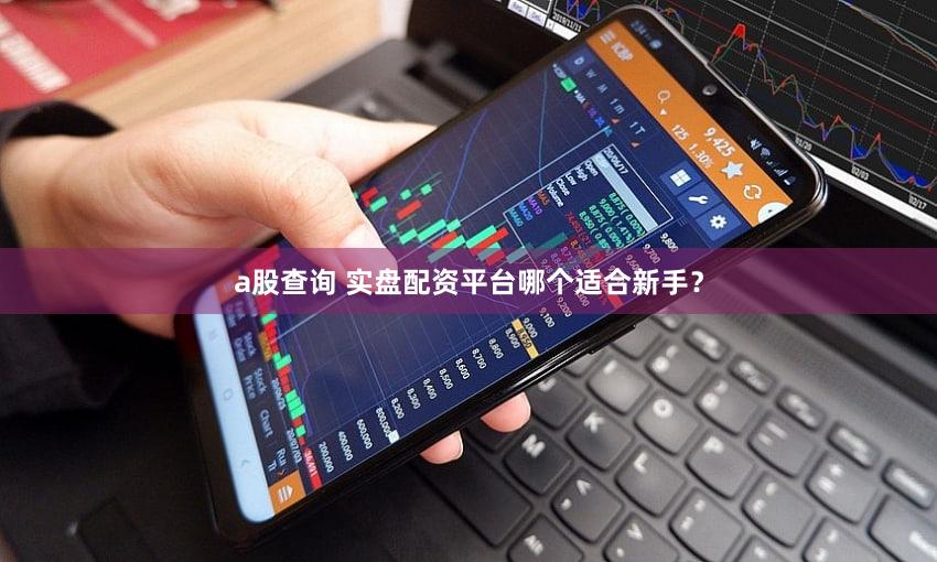 a股查询 实盘配资平台哪个适合新手？