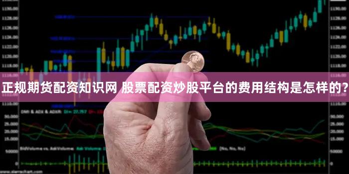 正规期货配资知识网 股票配资炒股平台的费用结构是怎样的？