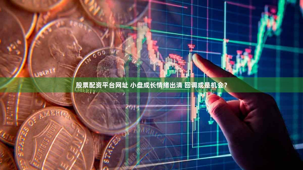 股票配资平台网址 小盘成长情绪出清 回调或是机会？