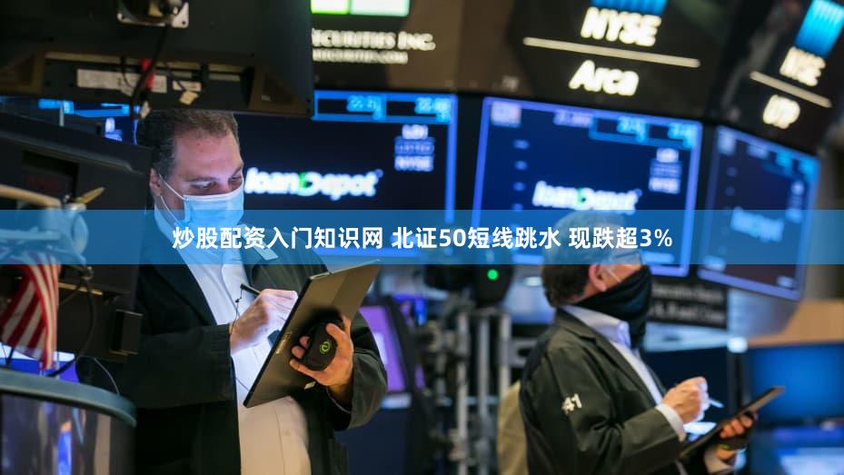 炒股配资入门知识网 北证50短线跳水 现跌超3%