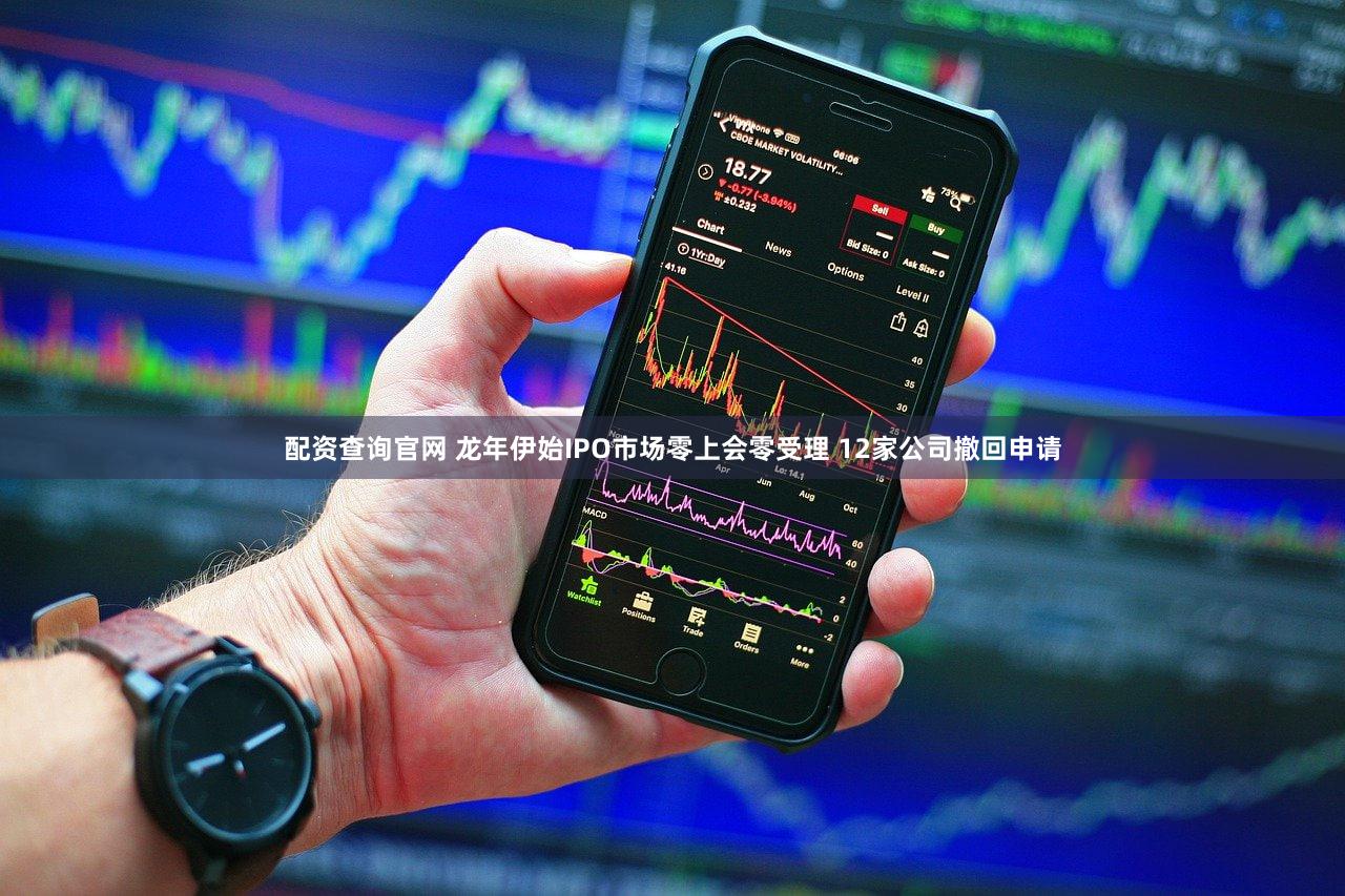 配资查询官网 龙年伊始IPO市场零上会零受理 12家公司撤回申请