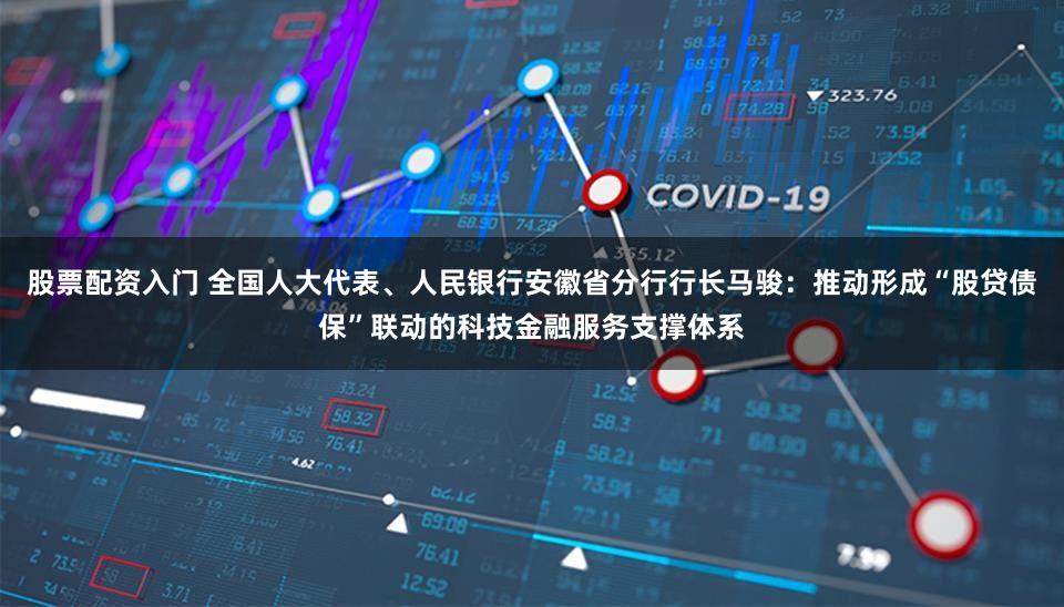 股票配资入门 全国人大代表、人民银行安徽省分行行长马骏:推动形成“股贷债保”联动的科技金融服务支撑体系
