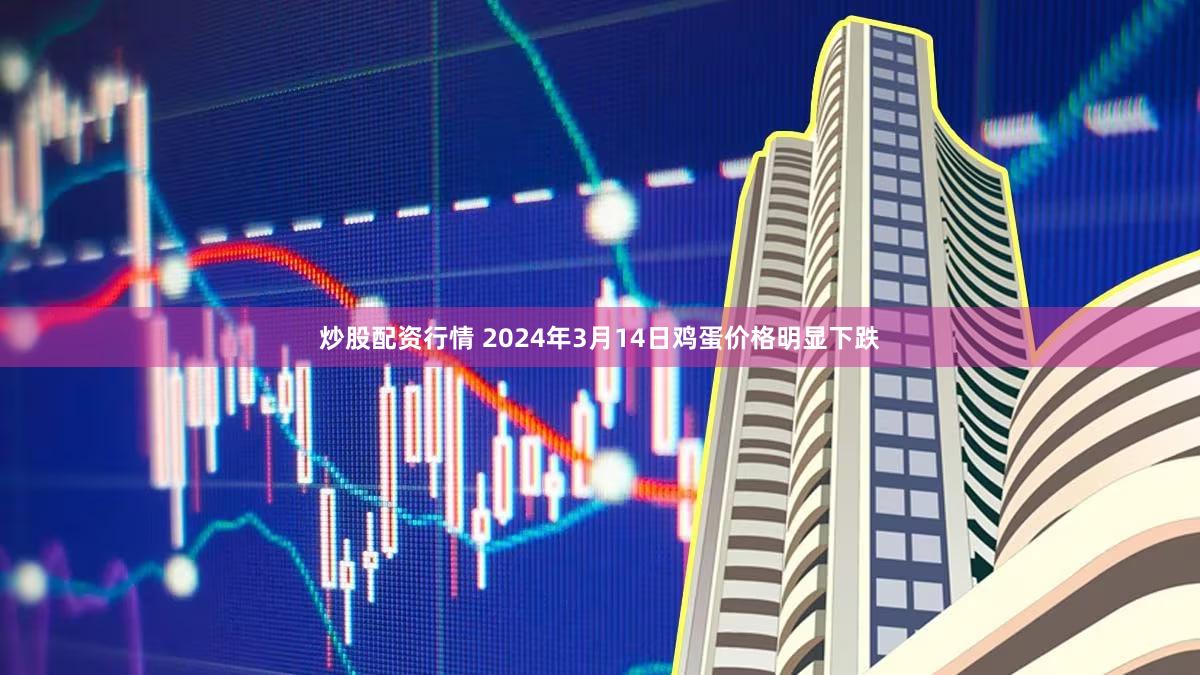 炒股配资行情 2024年3月14日鸡蛋价格明显下跌