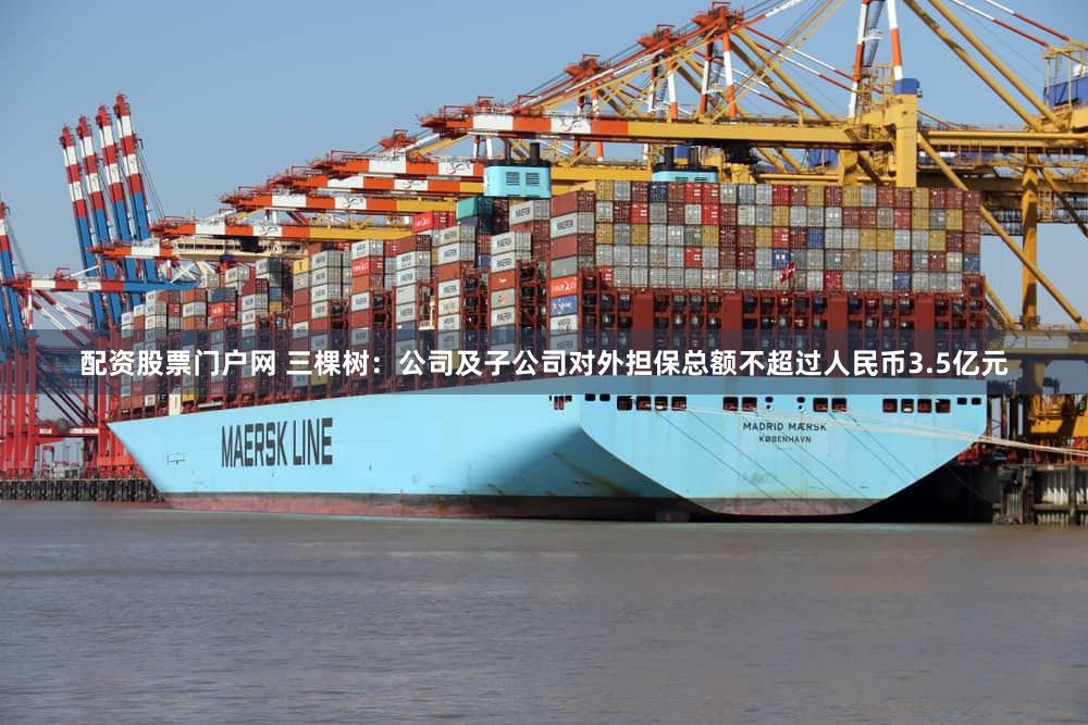配资股票门户网 三棵树：公司及子公司对外担保总额不超过人民币3.5亿元