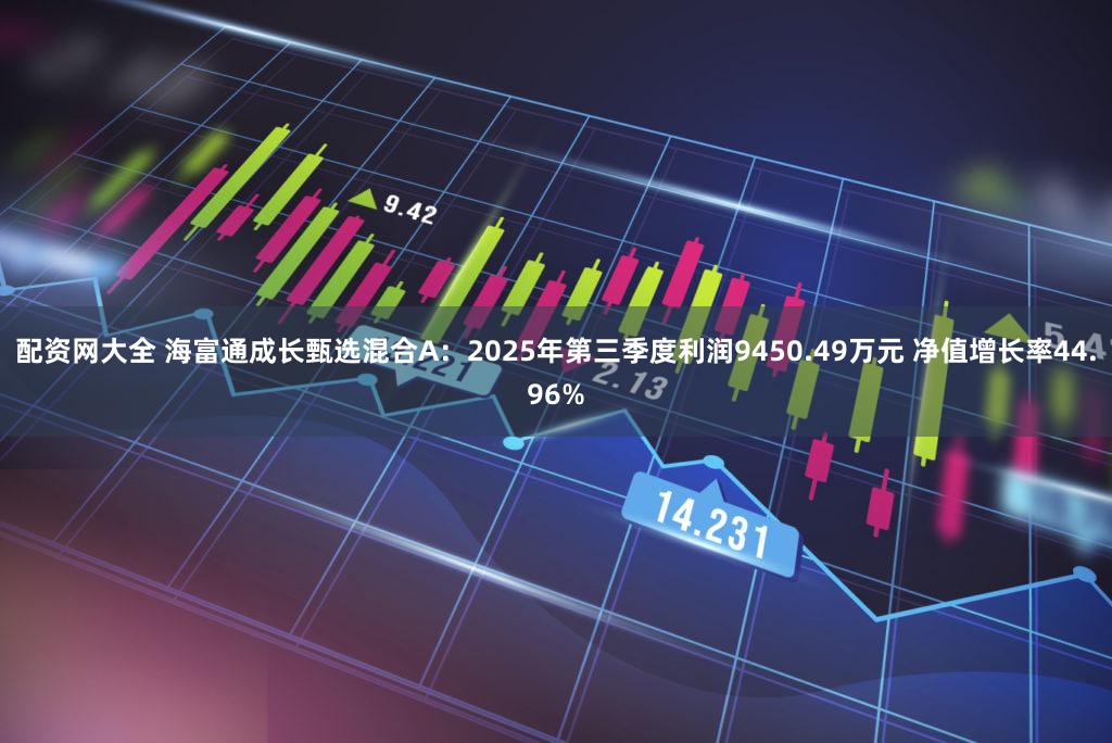 配资网大全 海富通成长甄选混合A：2025年第三季度利润9450.49万元 净值增长率44.96%