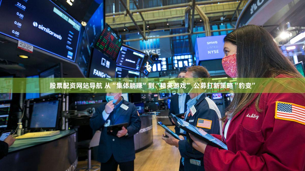 股票配资网站导航 从“集体躺赚”到“精英游戏” 公募打新策略“豹变”