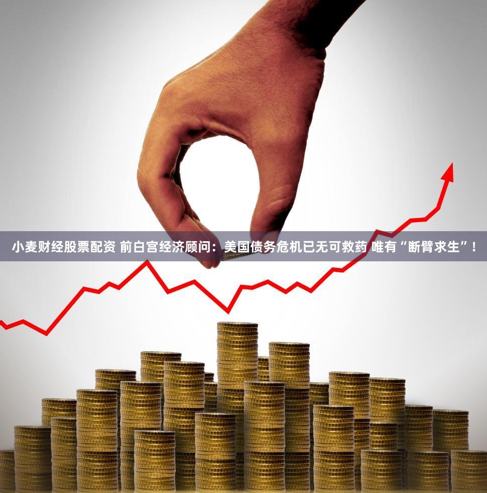 小麦财经股票配资 前白宫经济顾问：美国债务危机已无可救药 唯有“断臂求生”！